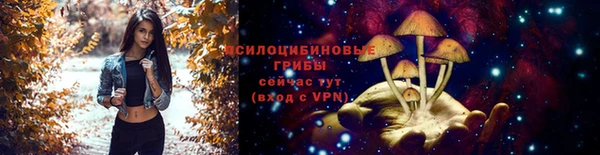 spice Баксан