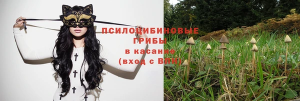 spice Баксан