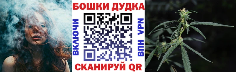 Шишки марихуана сатива  Щёкино 